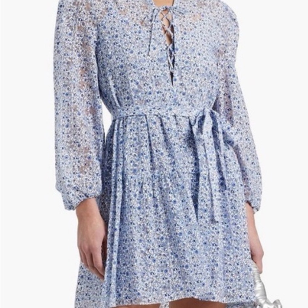 Rare Maje Burnout Romantic Garden Floral Long Sleeve Dress in Blue and White